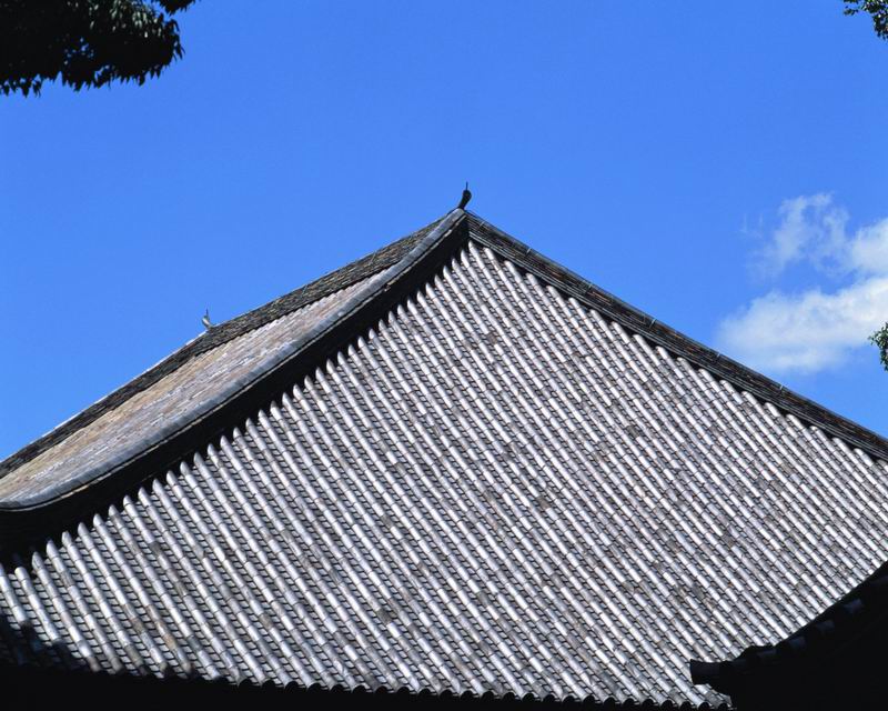 47 大屋顶中国古建可是鼻祖